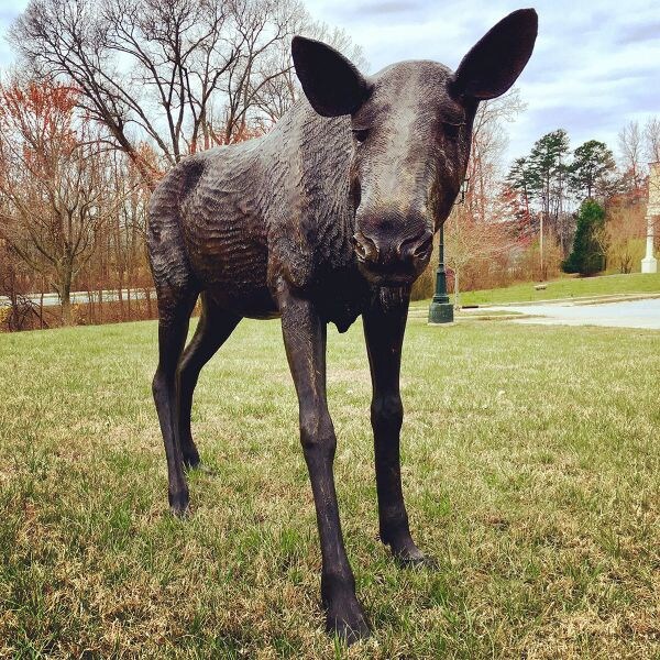 Female Moose Bronze Life Size bronze statue grand memorial tribute